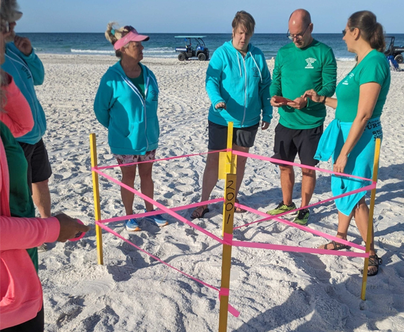 volunteers on the beach by a turtle nest