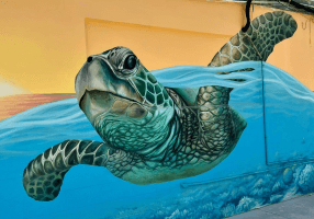 a turtle painted on a wall