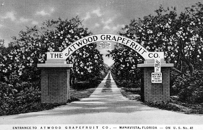 An Empire Built on Grapefruit