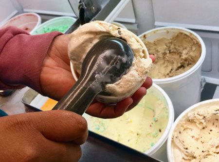 The Inside Scoop on Ice Cream in the Bradenton Area
