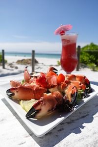5 Things to Know about Stone Crab Season in the Bradenton Area