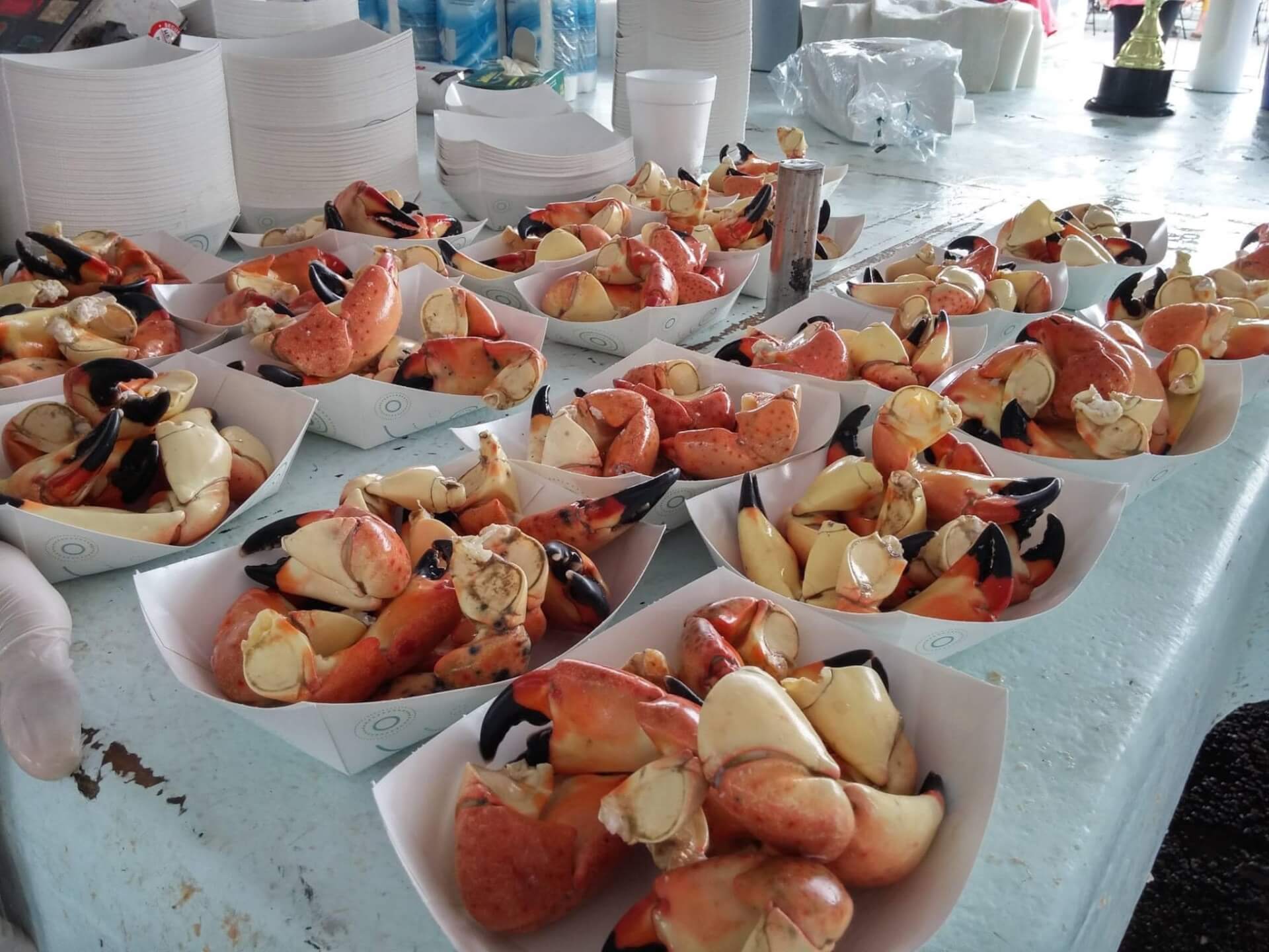 stone crab claws