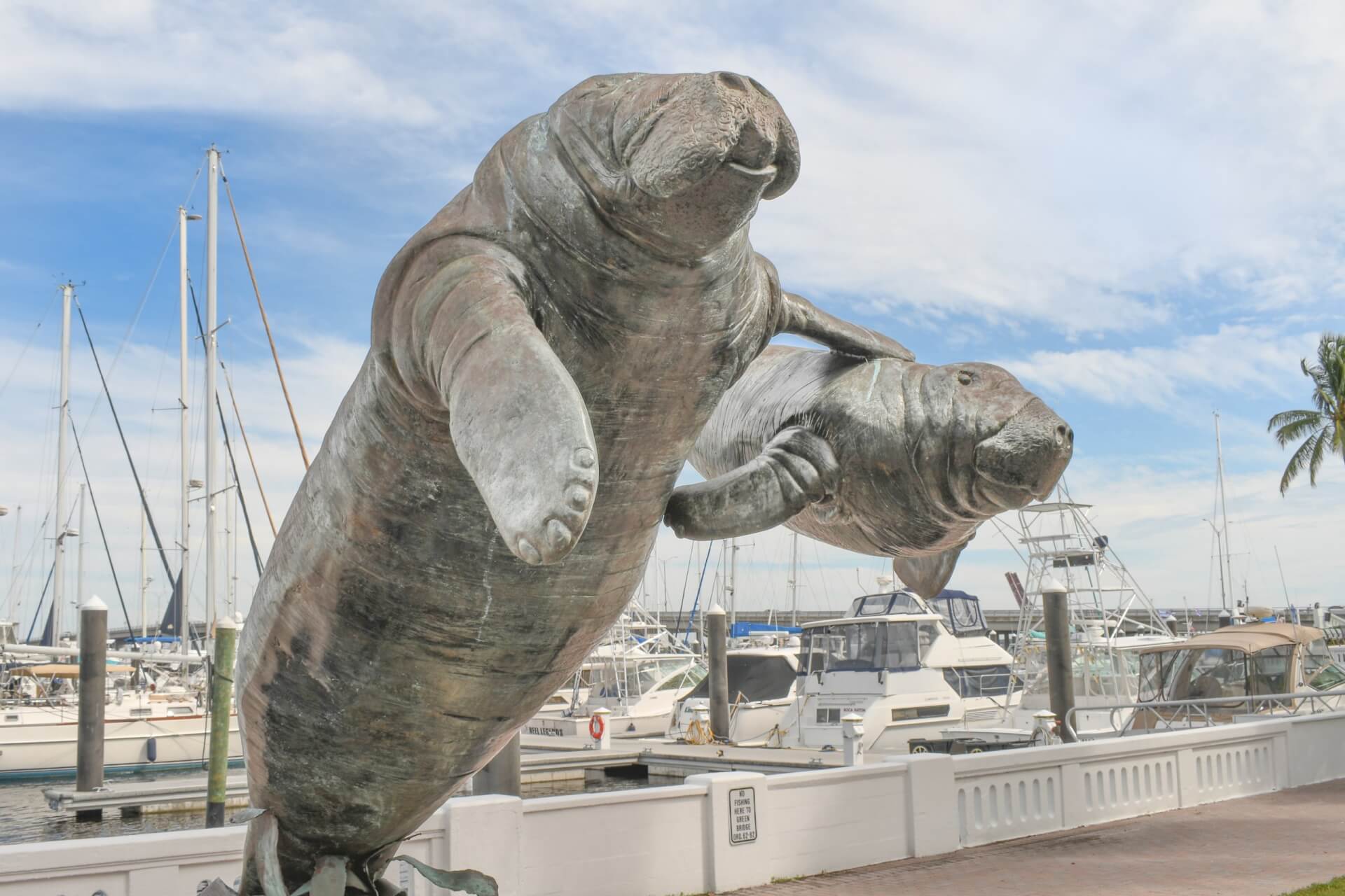 a statue of manatee and baby manatee in front of a marina